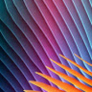 Meet your Posher, Miley